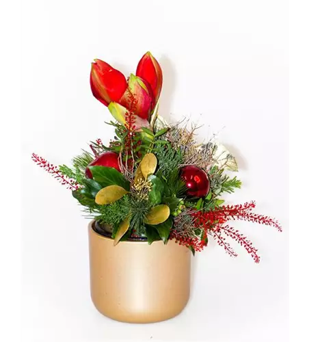 Weihnachtsstrauß "Amaryll"