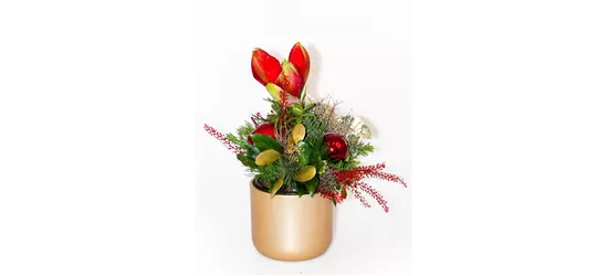 Weihnachtsstrauß "Amaryll"