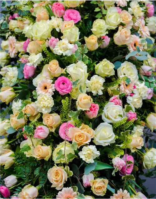 Sargdecke 'Adelaide'