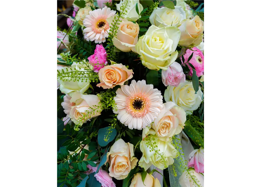 Sargdecke 'Adelaide'