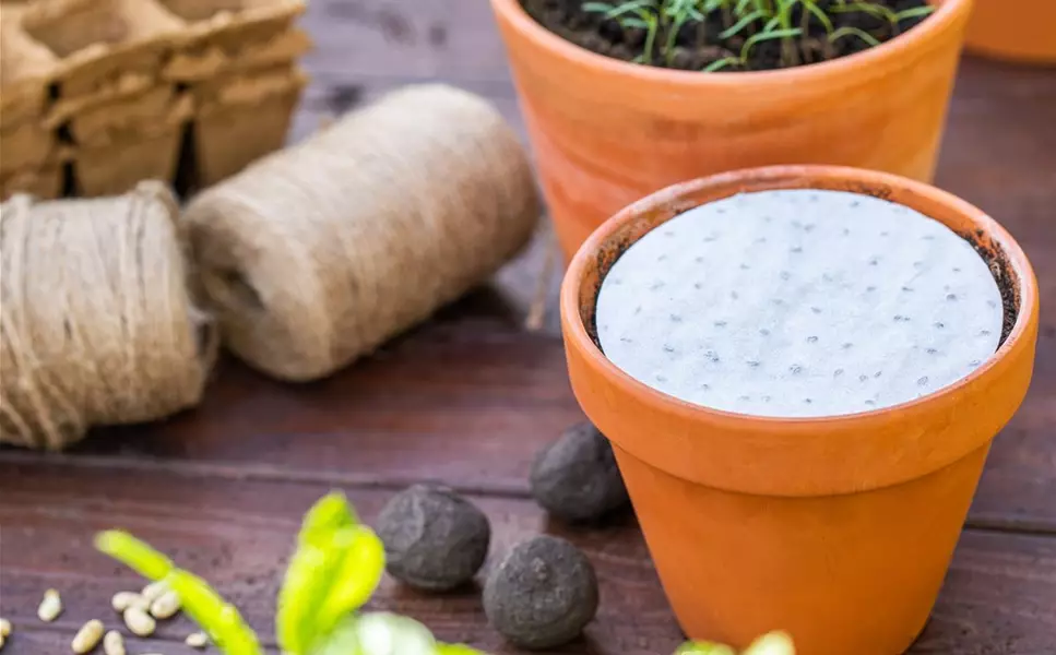 Los geht's! - Saatgut in Hülle und Fülle