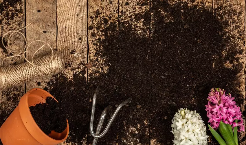 Gartenerden als Grundlage für gesunde Pflanzen