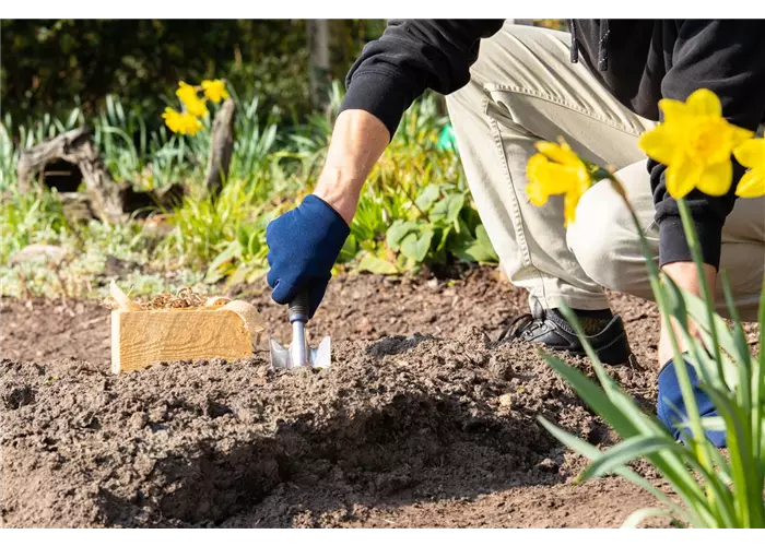 Pflanzerden Pflanzerden