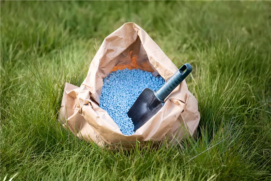 Richtig dngen fr Pflanzen in Haus und Garten