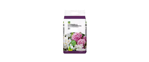 KNOSPENBLüHERHEIDE KNOSPENBLüHERHEIDE