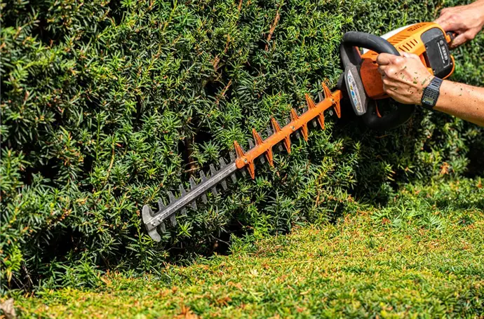 Akku-Heckenscheren kaufen und die Gartenarbeit wird zum Kinderspiel