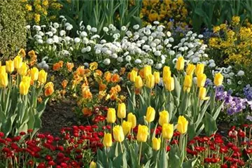 Eine Tüte voll Frühling Eine Tüte voll Frühling