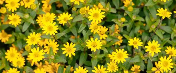 Auf den Schuh gekommen – Upcycling mit Gummistiefeln Auf den Schuh gekommen – Upcycling mit Gummistiefeln