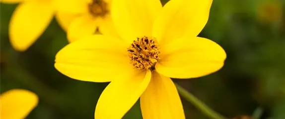 Auf den Schuh gekommen – Upcycling mit Gummistiefeln Auf den Schuh gekommen – Upcycling mit Gummistiefeln