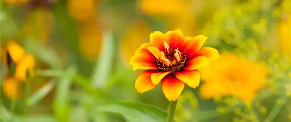 Auf den Schuh gekommen – Upcycling mit Gummistiefeln Auf den Schuh gekommen – Upcycling mit Gummistiefeln