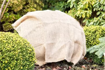 GUT GESCHÜTZT DURCH DEN WINTER! GUT GESCHÜTZT DURCH DEN WINTER!