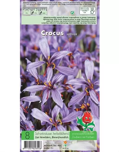 Safran-Krokus 'Spativus'