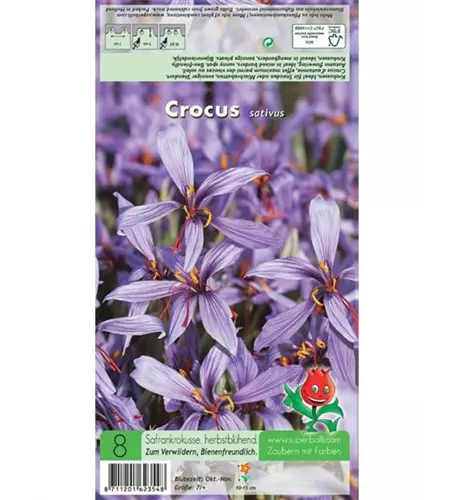 Safran-Krokus 'Spativus'