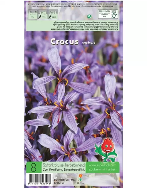 Safran-Krokus 'Spativus'