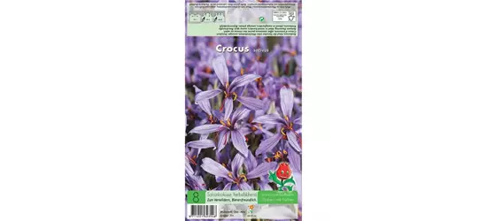 Safran-Krokus 'Spativus'