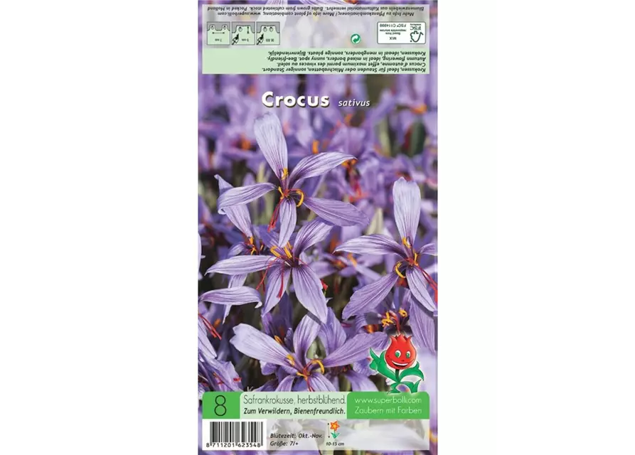 Safran-Krokus 'Spativus'