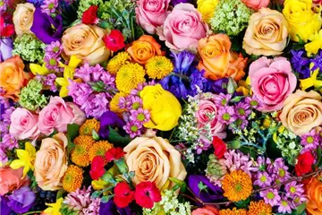 Schnittblumen Schnittblumen