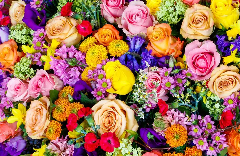 Schlapp gemacht! - Erste Hilfe für Schnittblumen