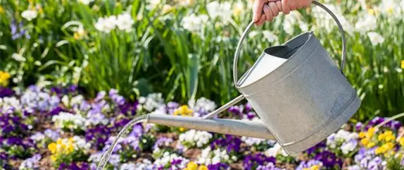 Praxiserprobte Tipps für eine nachhaltige Bewässerung