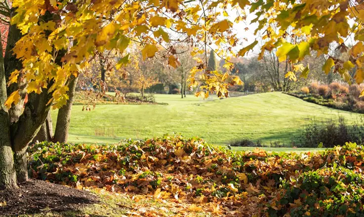 Mit unserem Elektro-Laubbläser & Laubsauger Gartenarbeit neu erleben!