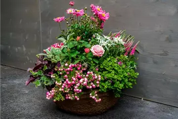 Trauerschalen Trauerschalen