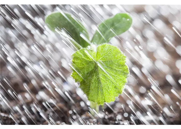 Gartenbewässerung Gartenbewässerung