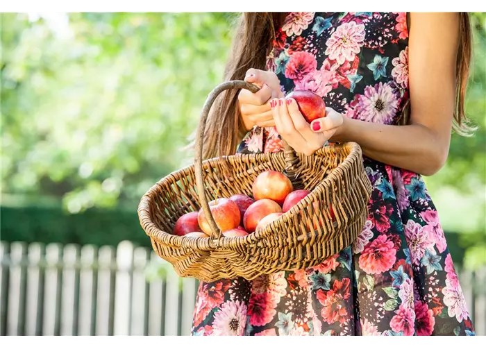 Gartenhilfsmittel Gartenhilfsmittel
