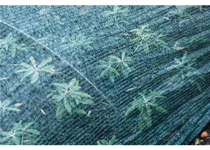 Gartenpflege Gartenpflege