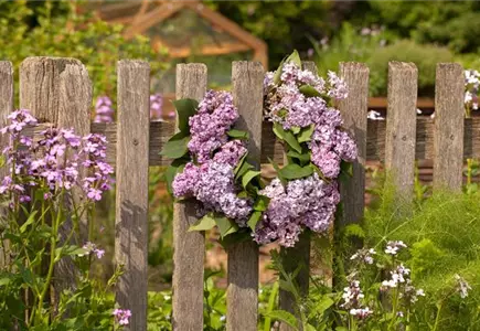 Gartenzäune und Sichtschutz
