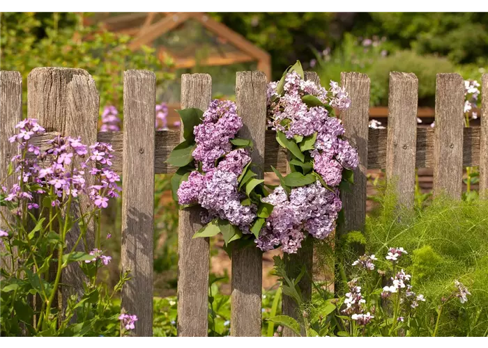 Gartenzäune und Sichtschutz Gartenzäune und Sichtschutz