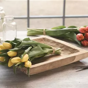 BLUMIGER VALENTINSTAG! BLUMIGER VALENTINSTAG!