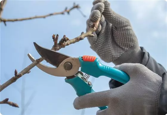 Gartenservice vor Ort Gartenservice vor Ort