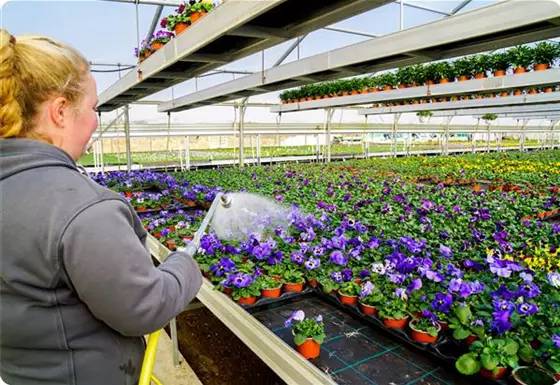 Produktionsgärtnerei