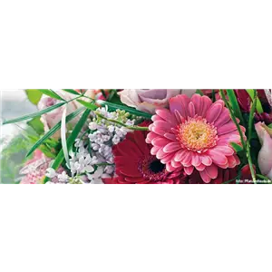 MUTTERTAG! MUTTERTAG!