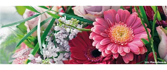 MUTTERTAG! MUTTERTAG!