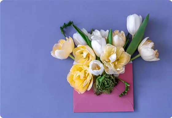 Lieferung und Click & Collect Lieferung und Click & Collect