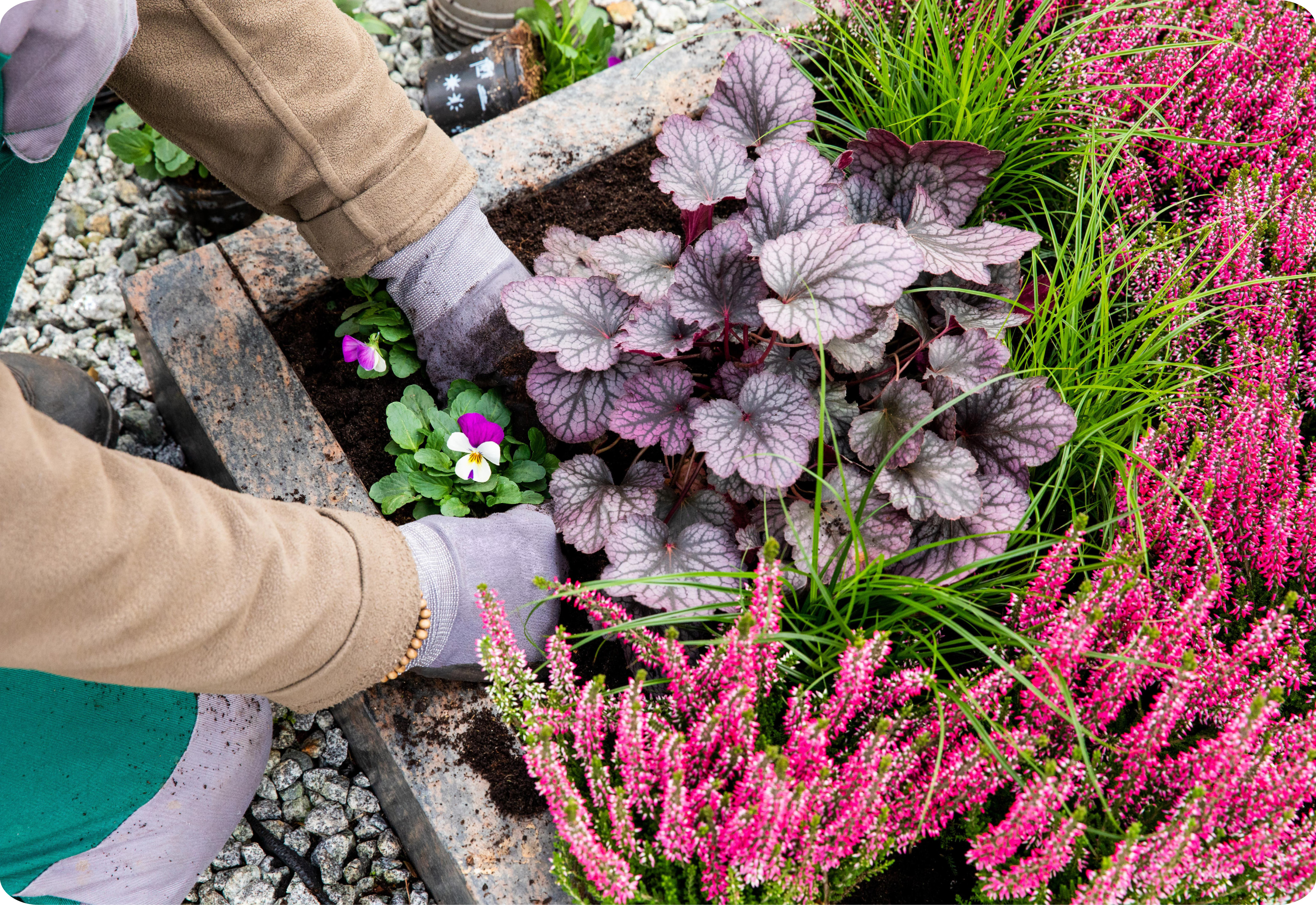 friedhofgärtnerei_sommer_2024_neues_ci_kiefl_gartencenter_in_gauting_bei_muenchen.jpg friedhofgärtnerei_sommer_2024_neues_ci_kiefl_gartencenter_in_gauting_bei_muenchen.jpg