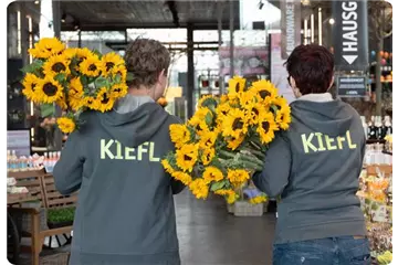 Tagesaktuelle Einblicke auf Instagram