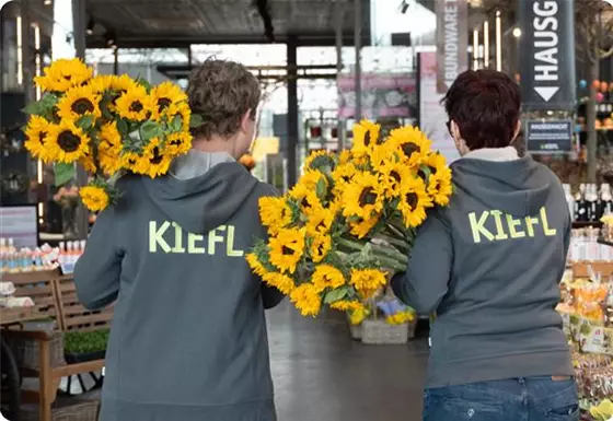 Tagesaktuelle Einblicke auf Instagram