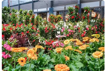 Angebote und mehr auf Facebook 