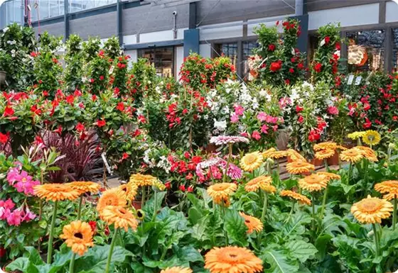 Angebote und mehr auf Facebook 