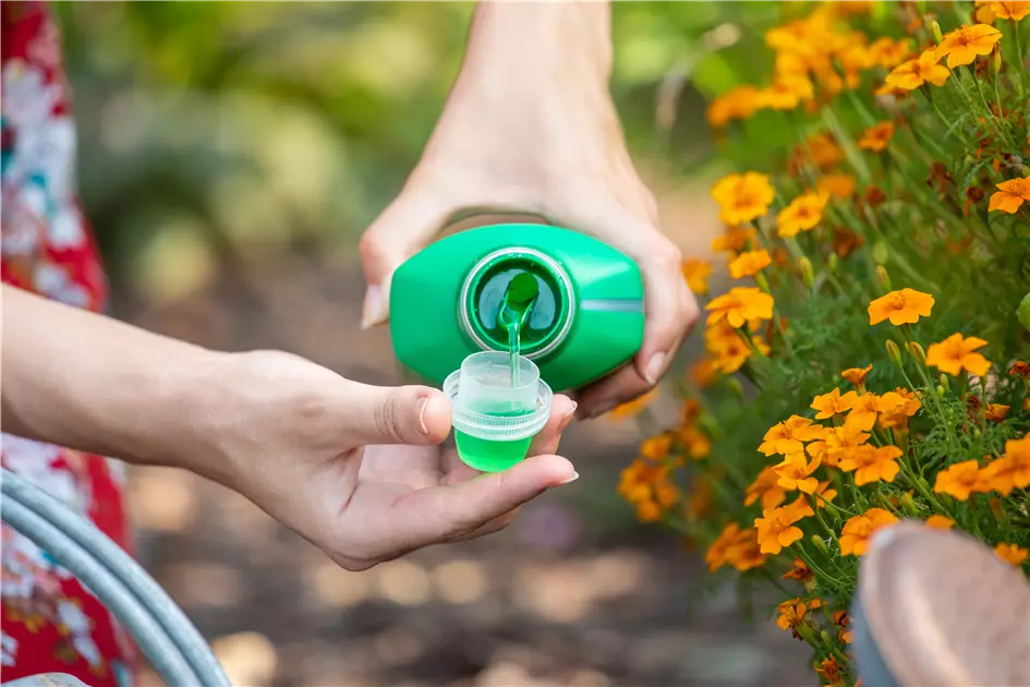 Richtig dngen fr Pflanzen in Haus und Garten