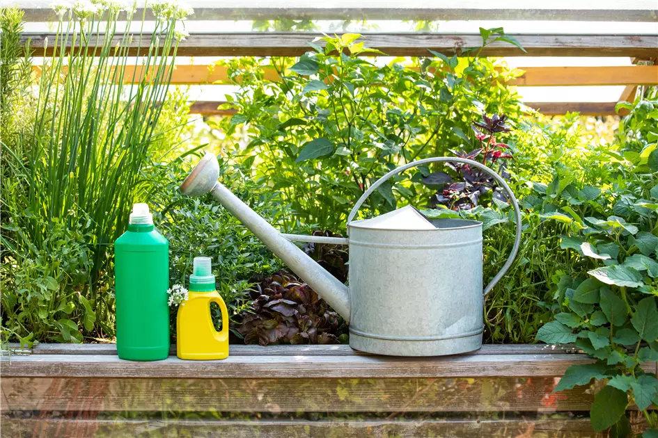 Wann ist die richtige Zeit fr Dnger fr Gartenpflanzen?