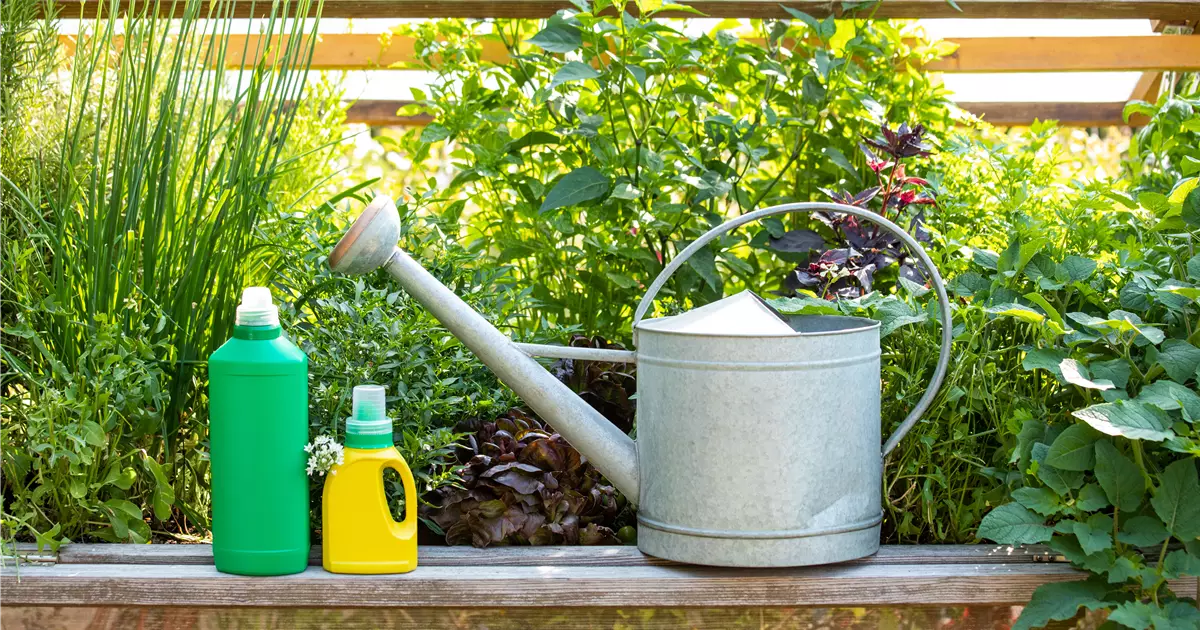Wann ist die richtige Zeit fr Dnger fr Gartenpflanzen?