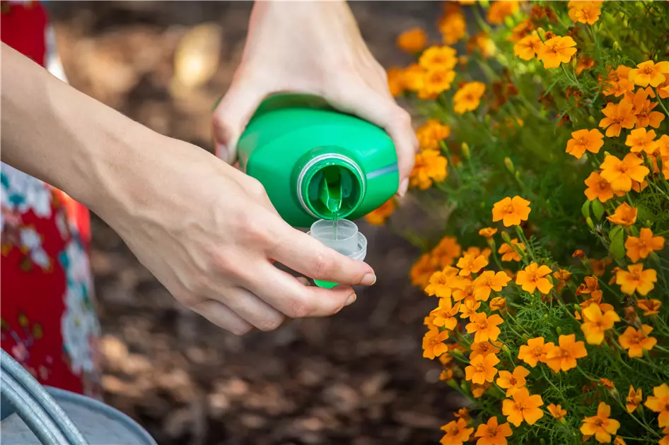 ab wann dünger für cannabispflanzen Cannabis Universaldünger 20 Liter main image 0
