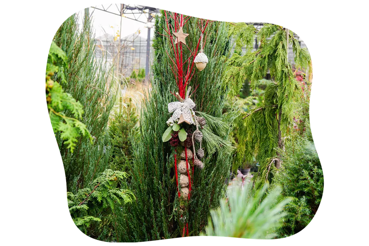 Dekorative_futterstation_fuer_voegel_DIY_Sonntag_kiefls_welt_gartencenter_in_gauting_bei_muenchen.png
