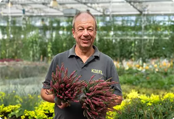 Persönliche Beratung