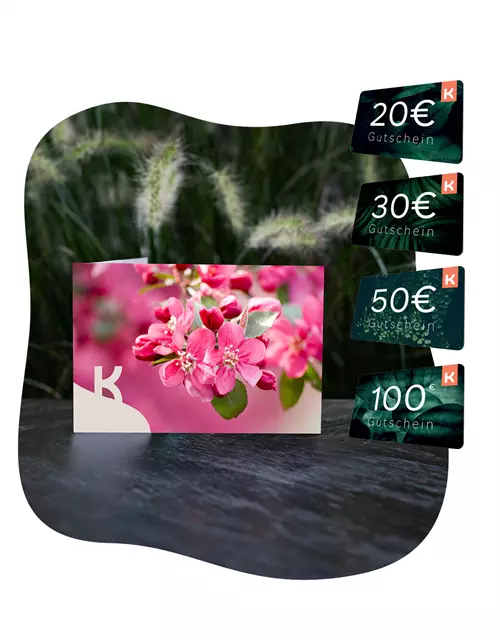 Motiv-Gutschein Blüte Pink