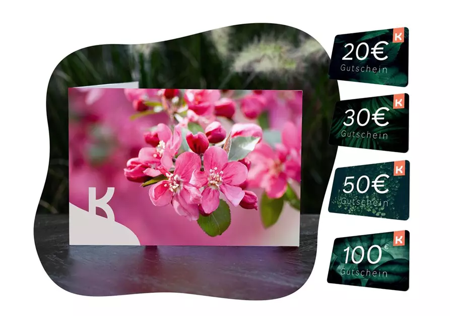 Motiv-Gutschein Blüte Pink