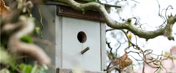 10 Tipps für einen tierfreundlichen Garten